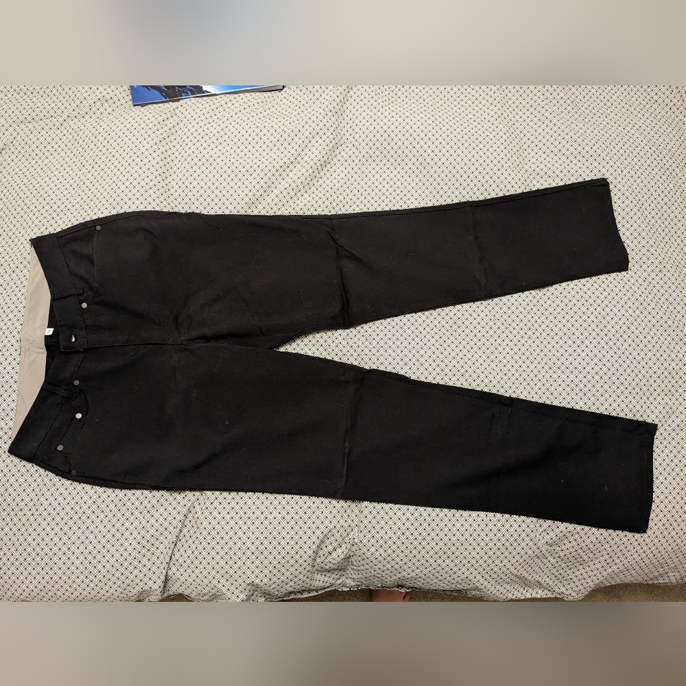 Outlier workpants